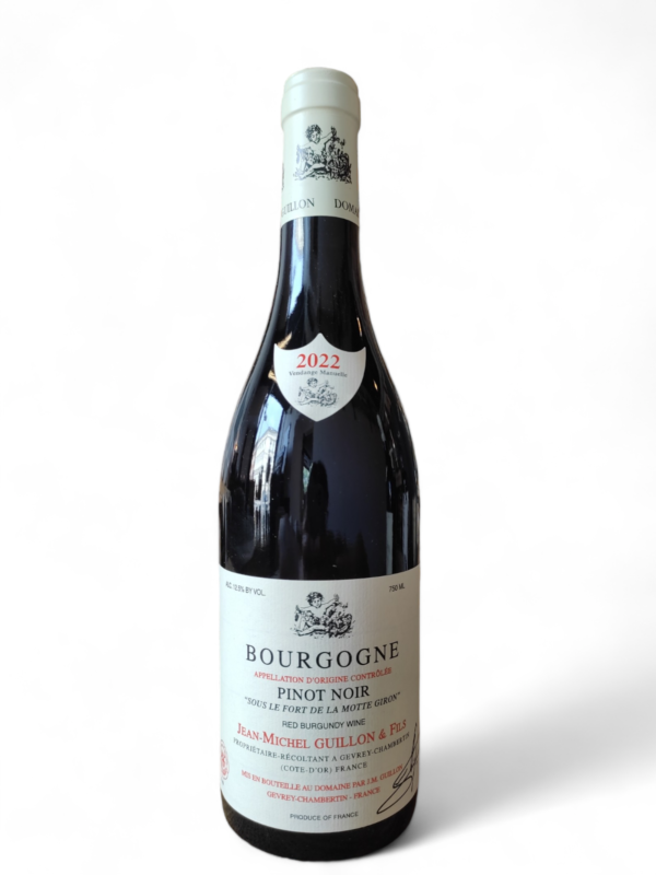 Jean Michel Guillon Bourgogne Sous le Fort de la Motte Giron