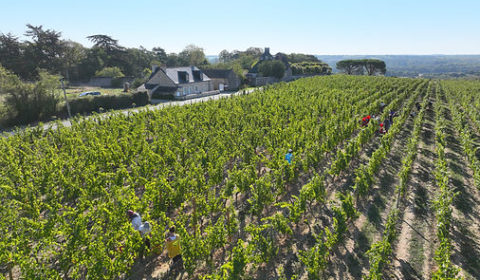 Tessa Laroche Domaine aux moines