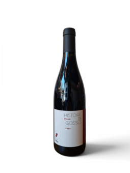 Hugo et Pauline Villa Histoire de Gosses Syrah