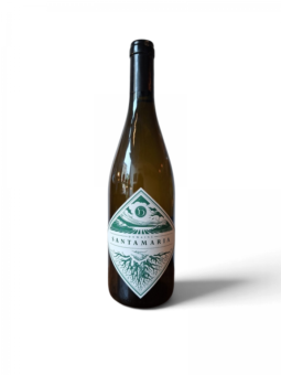 Domaine Santamaria Patrimonio blanc