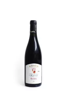 Domaine Saint Gayan - Vin Rasteau