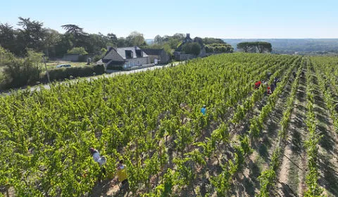 Tessa Laroche Domaine aux moines