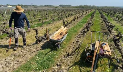 Domaine Pierre Ménard