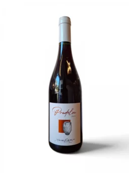 Domaine La Terrasse d'Elise Pradelou