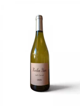 Jeff Carrel Morillon Blanc